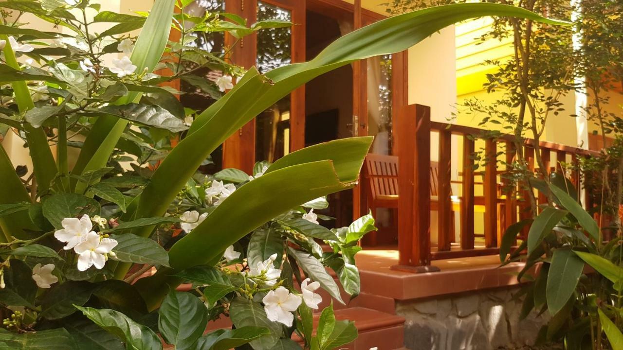 Free Beach Resort دونغ دونغ المظهر الخارجي الصورة